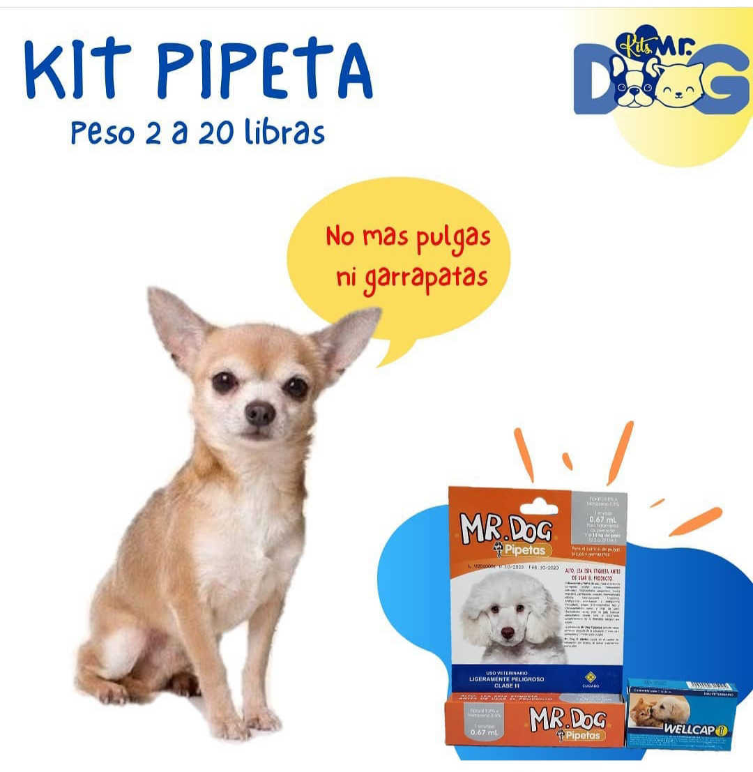 Pegatinas para mascotas 460 Mário Bros para perros y gatos, Tosa, tamaño  A14